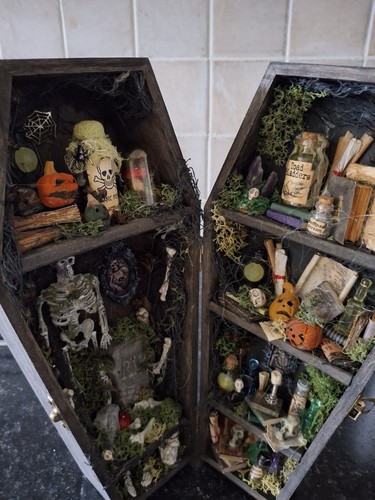 Witch apothecary coffin - apothecary,